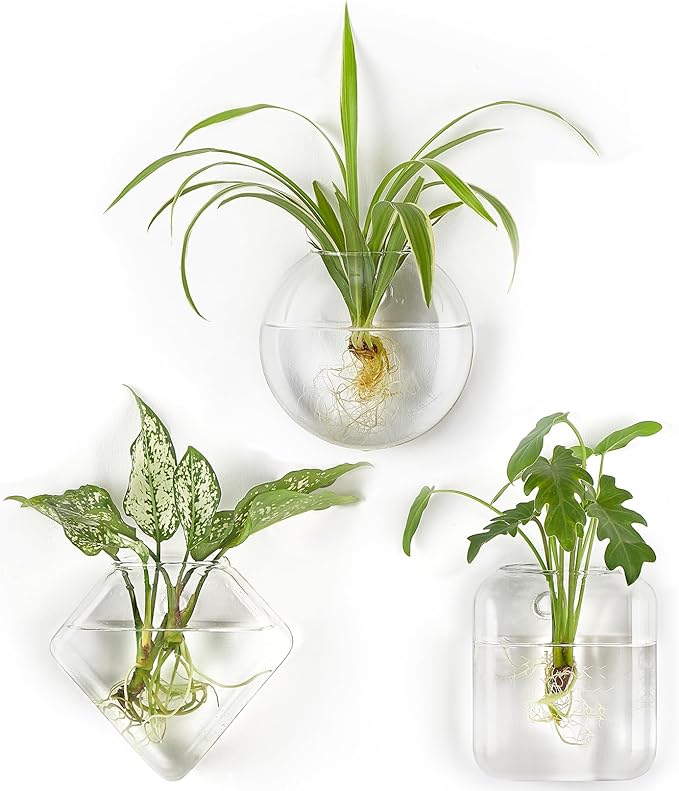 Mkono Wall Planter Propagation Stations Hanging Glass Terrariums Vase Container for Propagating Hydroponic Plants Flowers Home Office Living Room Bathroom Garden Decor, 3 Pack