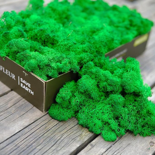 prefleur Preserved Reindeer Moss Natural Green DIY Kit Gardenning Art Wall Decor Florist Decor Easter Table Decor Wedding