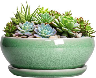 SQOWL Succulent Planter 12 Inch - Ceramic Bonsai Pots with Drainage Hole and Saucer, Large Shallow Planter, Bowl Round Planter for Indoor Outdoor Plants Flower, Room Decor, Birthday Gifts, Green