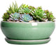 SQOWL Succulent Planter 12 Inch - Ceramic Bonsai Pots with Drainage Hole and Saucer, Large Shallow Planter, Bowl Round Planter for Indoor Outdoor Plants Flower, Room Decor, Birthday Gifts, Green