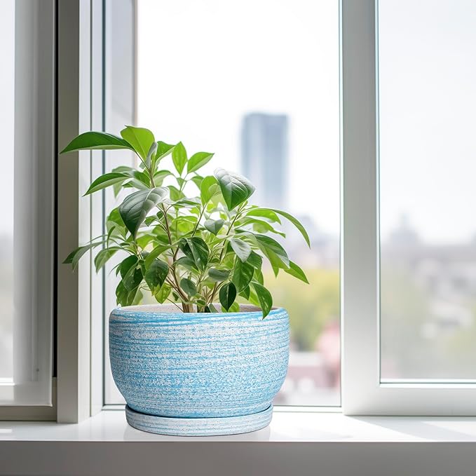 SQOWL Ceramic Plant Pots - 10 Inch Ceramic Flower Pots with Drainage Hole and Saucer, Round Large Planter for Indoor Outdoor, Decorative Modern Planter, Kitchen Decor, House Warming Gifts, Blue