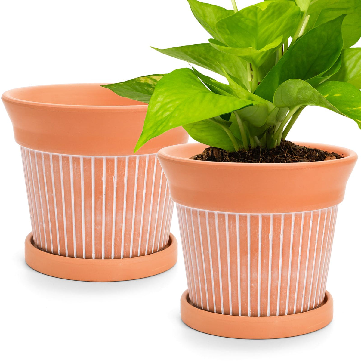 Cedilis 2 Pack 6 Inch Terracotta Pots with Drainage and Saucer