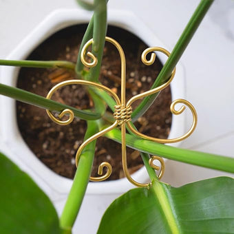 5PCS Monstera Plant Support System 4.1IN - Durable Hook Stem Supports for Healthy Growth, Stabilizer for Leaves and Turtle Shells, Easy-to-Use Indoor Plant Care, Ideal Present for Plant Lovers