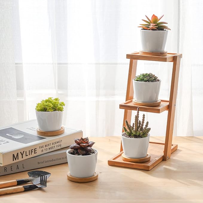 T4U 2.5 Inch Mini White Succulent Planter Pots with Bamboo Tray Round Set of 12, Tiny Ceramic Succulent Air Plant Flower Pots Cactus Faux Plants Containers, Gifts for Plant Lover, Home Office Decor