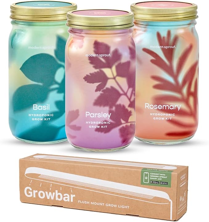 Modern Sprout Garden Jars + Smart Growbar Bundle - Self-Watering Hydroponic Herb Growing Kit with Full-Spectrum LED Grow Light, Organic Herb Seeds, Smart App, Adjustable Brightness, Ideal for Gifting