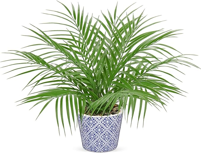 Hollyone Large Artificial Potted Plants Fake Palm Plants 16" Faux Green Plant Plastic Tropical Palm Tree in Blue and White Ceramic Pots Bohemian for Home Room Office House Indoor Decoration