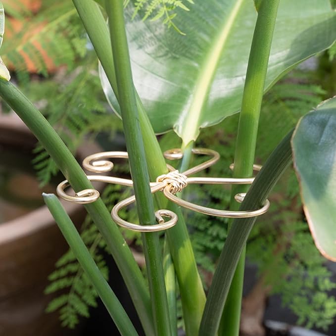 5PCS Monstera Plant Support System 4.1IN - Durable Hook Stem Supports for Healthy Growth, Stabilizer for Leaves and Turtle Shells, Easy-to-Use Indoor Plant Care, Ideal Present for Plant Lovers