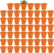 Fcacti 54 Pcs Small Mini Clay Pots 2.1'' Terracotta Pot Clay Ceramic Pottery Planter Cactus Flower Pots Succulent Nursery Pots- Great for Window Boxes, Cactus, Plants, Crafts, Wedding Favors