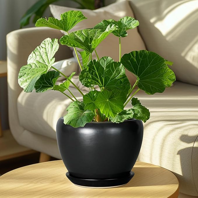 Ceramic Planter Pot - 8 Inch Plant Pot with Drainage Hole and Saucer Round Planter for Indoor Plants Modern Outdoor Flower Pot for House Balcony Black