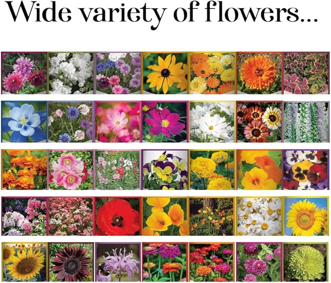 Gardeners Basics, Flower Seeds Packets for Planting 35 Individual Varieties Perennial, Annual, Wildflower Seeds for Planting Outdoors for Bees and Butterflies - Semillas de Flores Hermosas