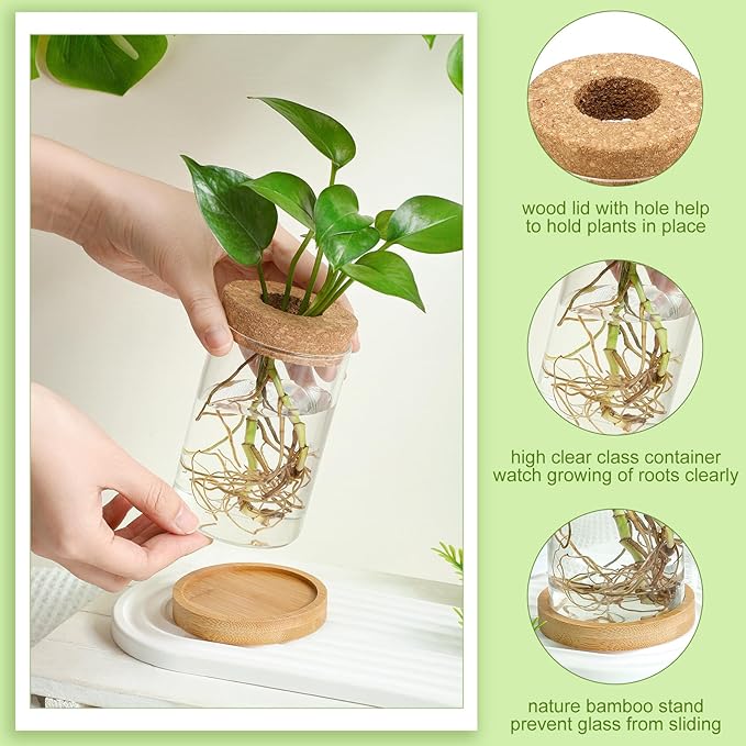 Layhit 4 Pcs Plants Propagation Stations vases Glass Planters with Wooden Lid and Bamboo Stand for Hydroponic Plants Gardening Gifts for Women Mom Home Office Tabletop Decoration(Funny Style)