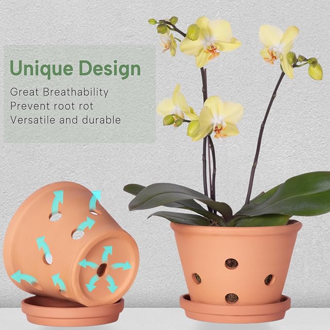 8 inch Terracotta Orchid Pots with Holes and Saucers, 2 Pack Clay Orchid Planter Pots for Repotting, Large Terra Cotta Orchid Pot, Plant Flower Pots for Orchid Indoor Outdoor Promotes Air Circulation