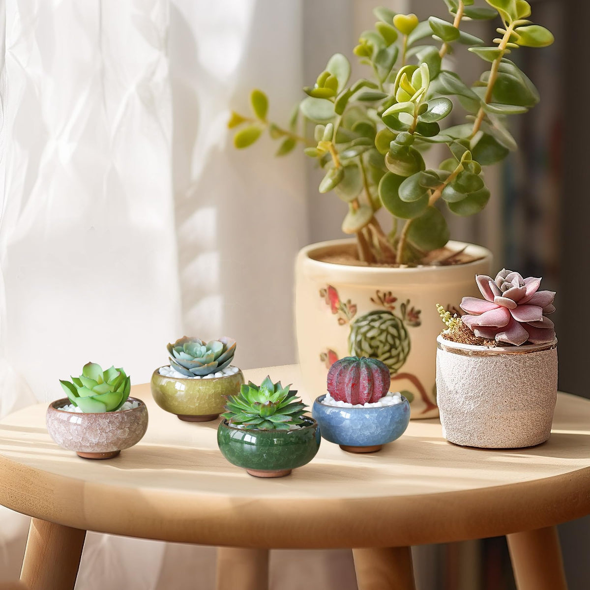 T4U Mini Succulent Pots, Small Shallow Ceramic Pots, Retro Gift Set of 6
