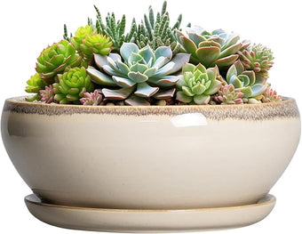 SQOWL Succulent Pots 8 Inch - Ceramic Bonsai Pots for Indoor Plants, Round Shallow Plant Pot with Drainage Hole and Saucer, Bowl Planter Outdoor, Patio Decor, Plant Lover Gifts, Beige