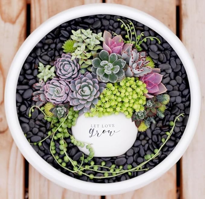 2.2LB Black Pebbles for Indoor Plants, Vases, Succulent, 3/8 Inch Small Black Rocks for Plants, Polished & Decorative
