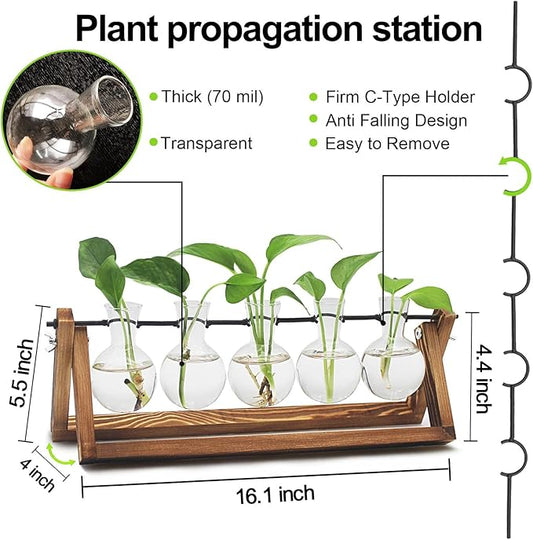 Plant Propagation Station, Propagation Vases for Plants, Unique Gardening Birthday Gifts for Women Plant Lovers Mom Best Friend - 5 Bulb Glass Vases