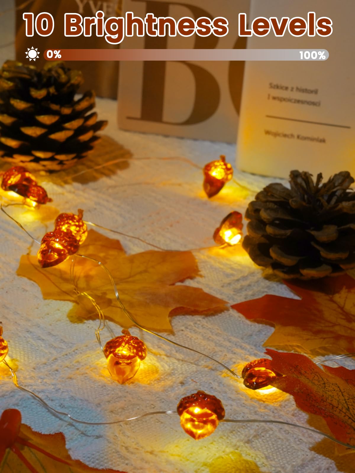 2 Pack 30 LED Acorn Fall Decorations, String Lights Battery Operated Remote