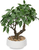 Artificial Bonsai Tree, Small Ficus Bonsai Tree 13" Indoor Bonsai Tree Fake Potted Plant Decorative Fake Desk Plant Decor with Ceramic Pot for Home Office Living Room Bedroom Bathroom Table Shelf