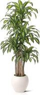 VeriNatural Artificial Dracaena Tree Indoor - 8FT UV Resistant Fake Outdoor Plants with Planter- Tall Faux Tree for Front Porch, Patio, Garden, Wedding, Home, Living Room Decor, VN151