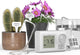 Raddy WS-64 Automatic Plant Waterer Indoor Self Watering System for 15 Potted Plants, Programmable Water Timer with LCD Display, Rain Delay for Balcony Patio, or Greenhouse