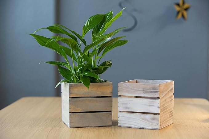 Wood Planter Box with Wine Crate Styled, 5 Inch Square, Rustic Barn Wood, Plastic Liner, Wedding Flowers Holder, Home and Venue Decor, (5x5 Wine Crate Set of 4)