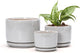 Ton Sin Plant Pots, 4.1+5.1+6.5 inch, Set of 3, Ceramic Planters with Drainage Hole and Saucer, Indoor Flower Pot with Drainage Hole, Gifts for Mom(Reactive Glaze White)