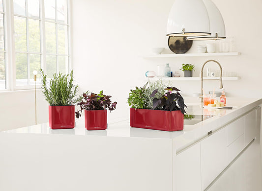 Lechuza Cube Glossy Triple Scarlet Red High Gloss, Self-Watering Window Box, H5.5 L15.7 W5.5 in