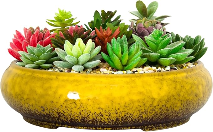 Succulent Pots - 11.5 Inch Ceramic Bonsai Pots with Drainage, Large Shallow Succulent Planters for Indoor Outdoor Plants, Round Glazed Cactus Flower Plant Container Bowl Home Desk Decor(Yellow)