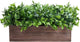 Winlyn 14" Artificial Boxwood Plants in Rectangular Wood Planter Farmhouse Greenery Arrangement Centerpiece Faux Potted Herb Plant for Wedding Dining Room Table Kitchen Windowsill Mantel Shelf Décor