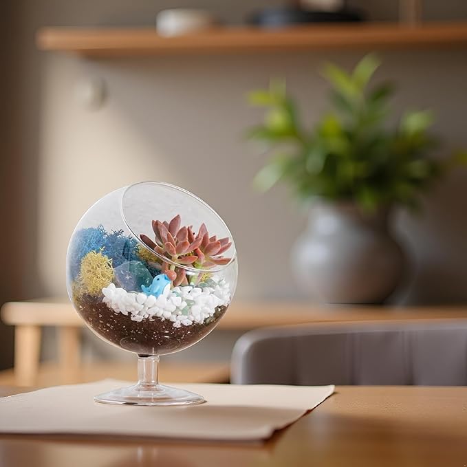 Creations by Nathalie 6" DIY Chalice Terrarium Kit with Live Plants - Build Your Own Glass Terrarium for Adults & Kids with Moss, Crystals, Soil, Tools & Figurine - Mini Ecosystem - Made in The USA