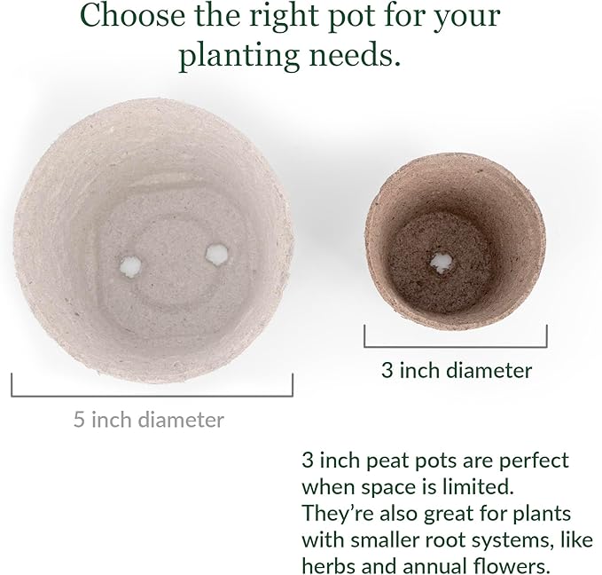 Jiffy Plant Nursery Pots - Organic Seed Starting, Biodegradable, Drainage Hole - 3 in - Peat