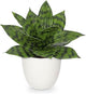 Hollyone Artificial Snake Plants 9" Faux Agave Succulent Plant Potted in White Pot Fake Sansevieria Aloe Tropical Plant for Desk Modern Office Home Bathroom Indoor Outdoor Decor