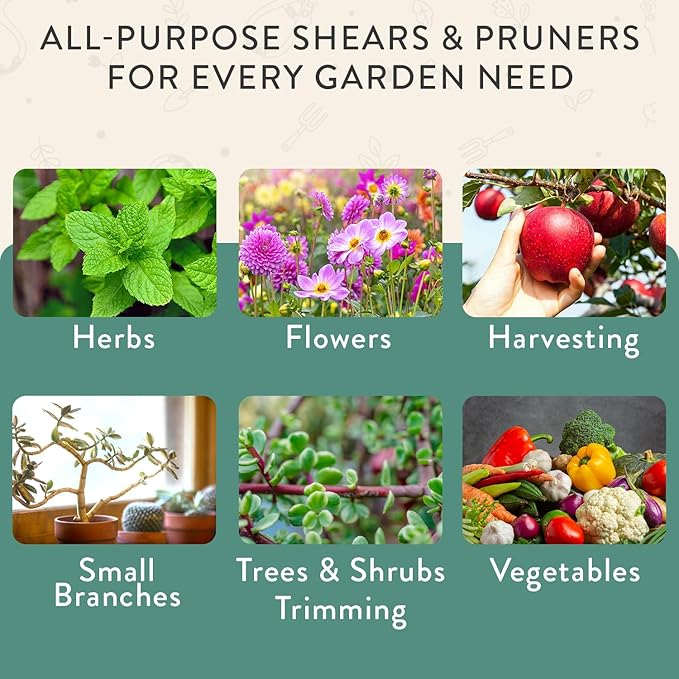 Modern Sprout Hand Pruners & Shears Set with Blister Pack - Lightweight Gardening Tools with Easy Lock - Sharp Carbon Steel Blades -Rust Resistant Scissors for Herbs, Flowers - Ocean