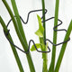 Monstera Plant Stem Support Set of 5 - Durable Stabilizers for Monstera and Climbing Plants - Ideal for Plant Lovers and Garden Care
