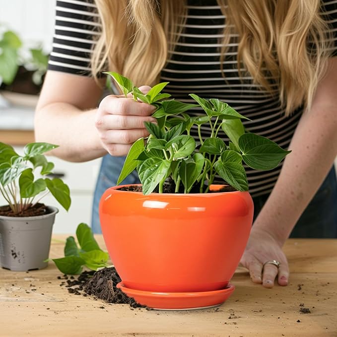 Ceramic Plant Pot 6 Inch - Ceramic Planter for Indoor Plants Outdoor, Glaze Round Modern Flower Pot with Drainage Hole and Saucer, Gift for Plant Lover, Home Garden Room Decor, Orange