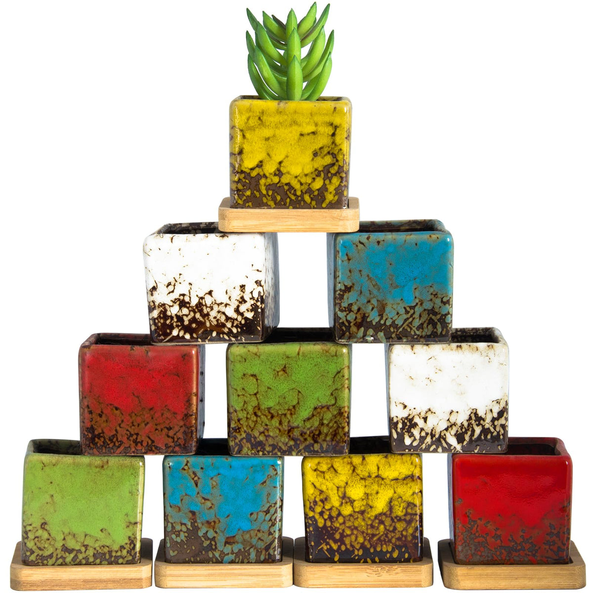 Set of 10 Succulent Pots with Drainage Trays, Small Square Plant Pots Bulk
