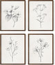 Haus and Hues Grey Floral Wall Art - Set of 4 Plant Posters for Wall Vintage, Botanical Prints, Black and White Flower Pictures for Room Aesthetic, Farmhouse Bathroom, Rustic Art (16x20, Framed