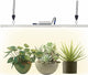 Vegelumax100Watt LED Grow Light Lamp for Indoor Plant Vege Flower Herb Growth,Full Spectrum CRI 90+ High Output White Light CCT 3200K,Isolated Dimming Driver with On/Off Switch,4Feet
