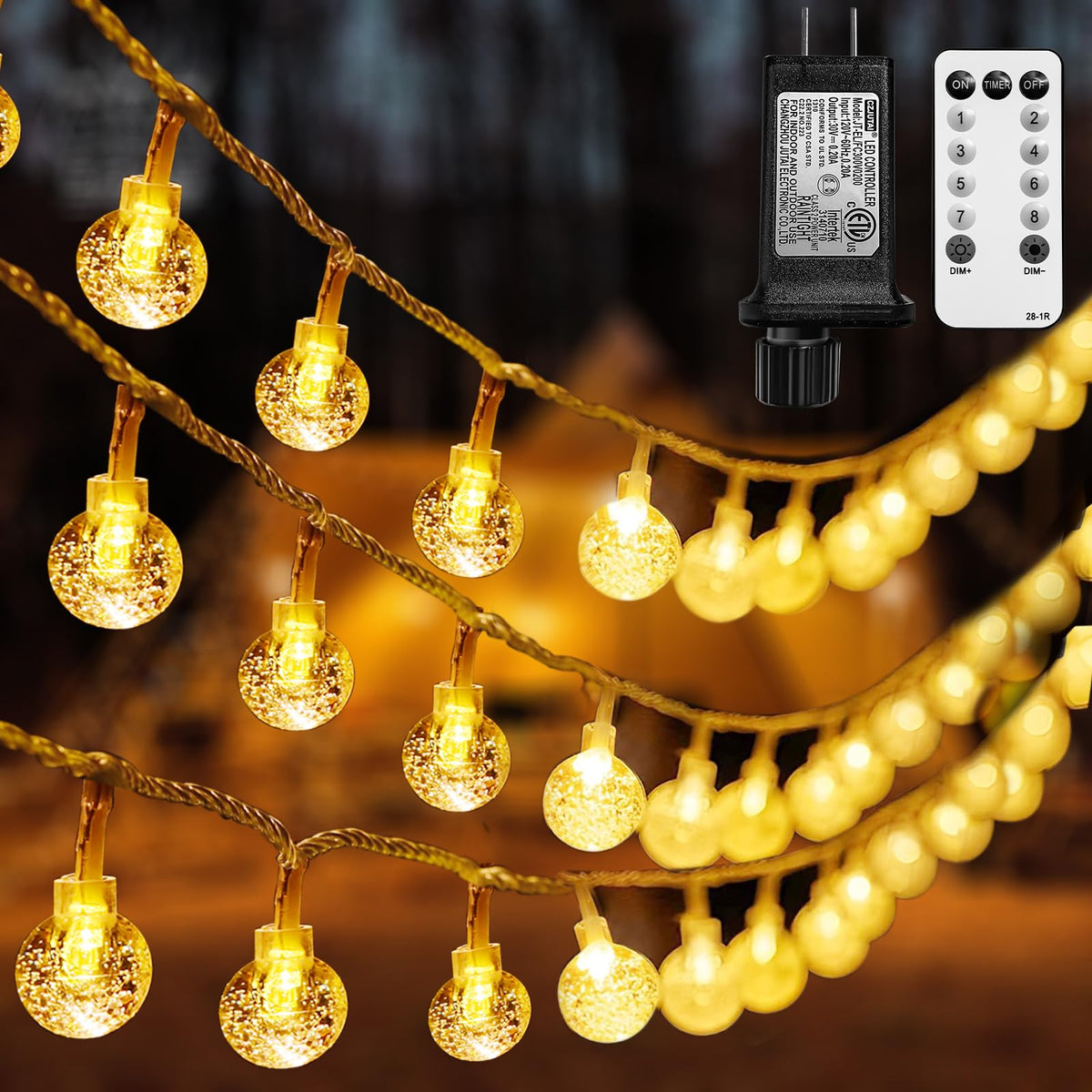 65.6ft Plug in Globe String Lights with Remote for Indoor Warm White
