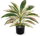 Oairse Artificial Plants Indoor with Pot, 18" Fake Potted Plants Medium Artificial Dracaena Plant in Black Pot Faux Tropical Plants for Bathroom Living Room Office Desk Shelf Decor