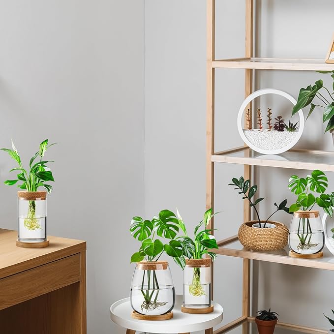 Layhit 4 Pcs Plants Propagation Stations vases Glass Planters with Wooden Lid and Bamboo Stand for Hydroponic Plants Gardening Gifts for Women Mom Home Office Tabletop Decoration(Classic Style)