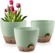 Self-Watering Plant Pots with Water Level Indicator, Drainage Holes & Saucers – 12/10/9 Inch Large Plastic Planter Set for Indoor & Outdoor Plants (Green)