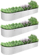 A ANLEOLIFE 3 Pcs 12X3X1.5 ft Oval Extra Large Galvanized Raised Garden Beds Outdoor for Planting Vegetables Flowers Herb, Antique White