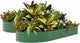 2 Pack Galvanized Raised Garden Beds - 10x4x1.5ft Planter Box for Vegetables, Flowers, Rust-Resistant Garden Box, Easy Assembly Raised Beds, Durable Planters for Outdoor Plants, Green