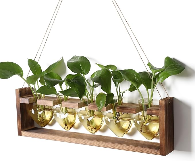 Plant Terrarium Hanging Propagation Stations Gift for Women Air Plants Holder with Wooden Stand Heart Glass