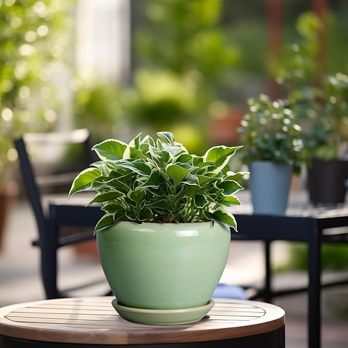 6 Inch Plant Pot - Ceramic Planter for Indoor Plants Round Planter Outdoor Plant Pot with Drainage Hole and Saucer Modern Flower Pot for Succulent Garden Green