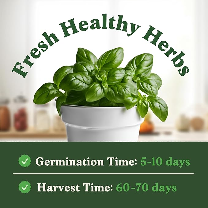Seedboy 250 Organic Basil Seeds for Planting Indoor and Outdoor, Non-GMO and USDA Certified Herb Seed Packet for Hydroponic Garden Indoor or Planting Outdoors (Genovese Basil)