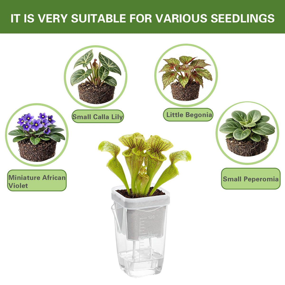 20 Pack Mini Self Watering Pots for Indoor Plants, 2'' Small Clear Plastic Planters with Water Level Indicator & Drainage Hole, Automatic-Watering Pot for Propagation Succulents and African Violet