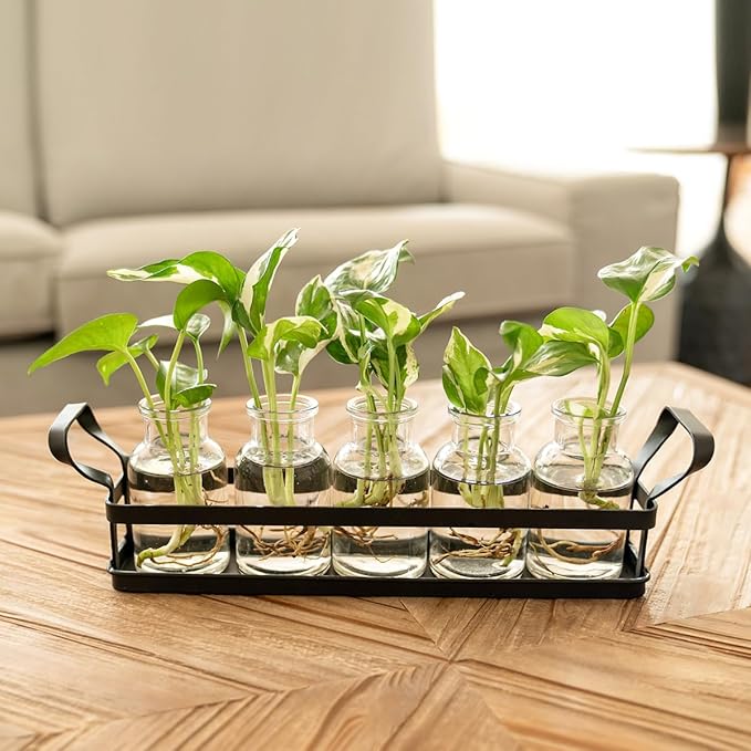 Mkono Propagation Stations with Metal Stand, Desktop Plant Terrarium Glass Planter Vase for Hydroponic Plants Flower Cutting Home Office Garden Decor Plant Lover Gifts, 5 Jars