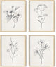 HAUS AND HUES Grey Floral Wall Art - Set of 4 Plant Posters for Wall Vintage, Botanical Prints, Black and White Flower Pictures for Room Aesthetic, Farmhouse Bathroom, Rustic Art (Beige Frame, 16x20)